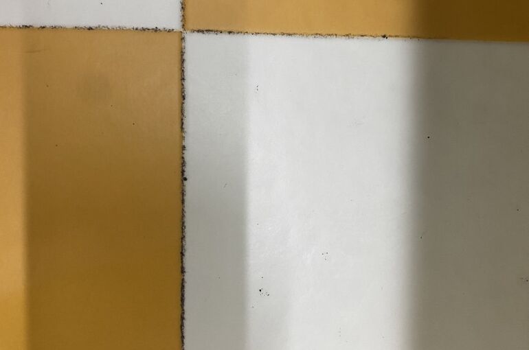 S__10068108