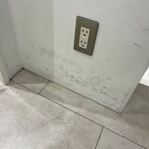 IMG_0582