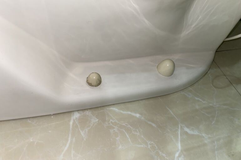 S__11649300