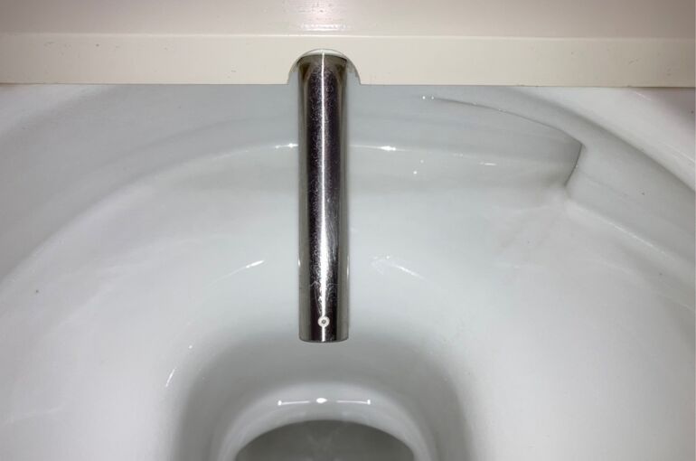 S__11739245