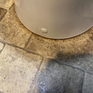 S__12066833
