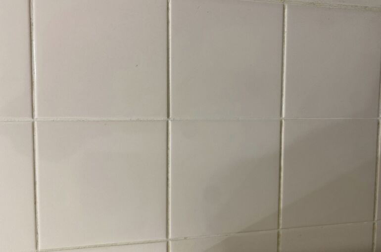 S__12148797