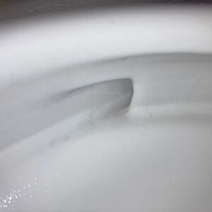 S__12451844