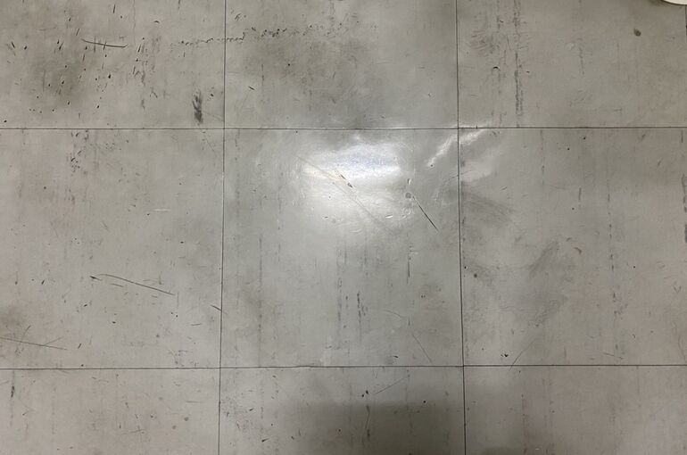 S__12517500