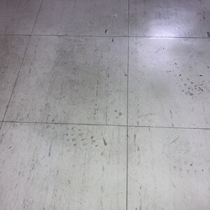 S__12828816