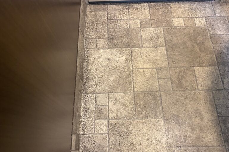 S__13361386
