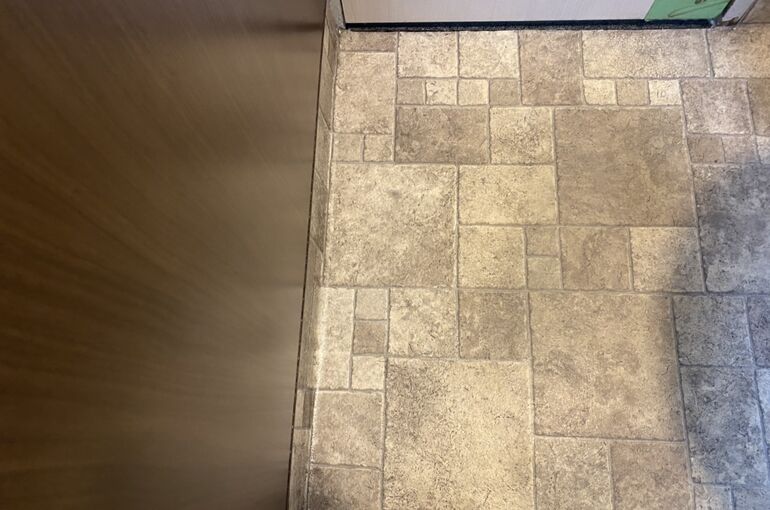 S__13361388
