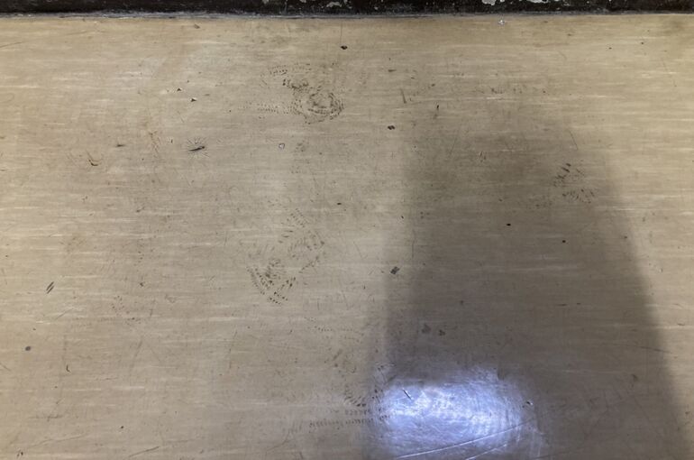 S__14549056