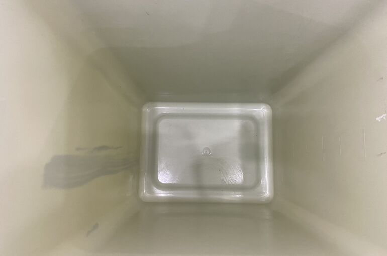 S__16343125