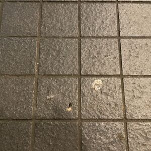 06222D39-09BC-4704-A381-2C518ABBFCA6