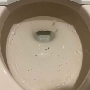 05C7C01D-C8F6-4105-87E5-B9C4381CB26F