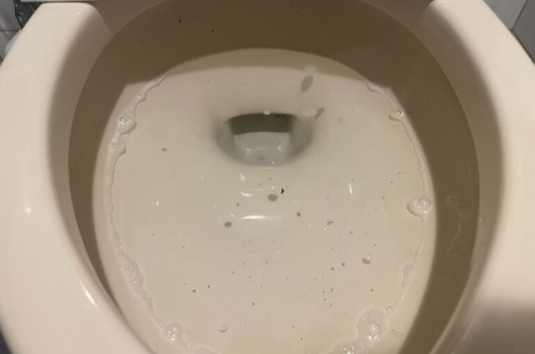 05C7C01D-C8F6-4105-87E5-B9C4381CB26F