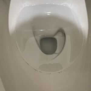 E6B881A8-D1DA-4E0C-A695-CD07260FEB13