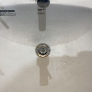 S__18284562