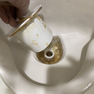 IMG_0559