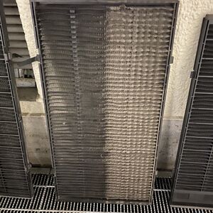 IMG_0682