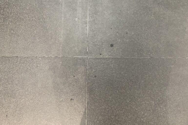 S__1810458_0