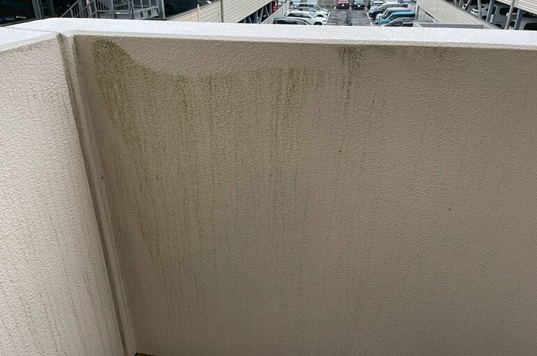 LINE_ALBUM_アルボの丘4番街_260323_1