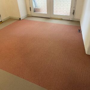 LINE_ALBUM_エルフォレスト　カーペット_260420_1