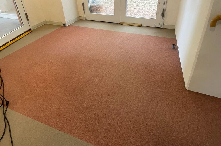 LINE_ALBUM_エルフォレスト　カーペット_260420_1