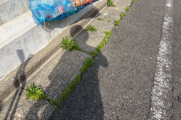 LINE_ALBUM_20260414 インフィニティ子安町　巡回清掃_260501_1