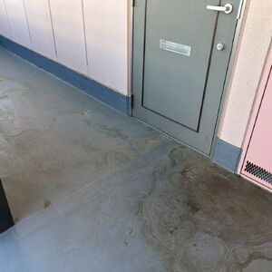 LINE_ALBUM_国分寺ファランドール_260511_1