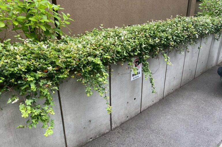 LINE_ALBUM_2026.05.26フラリッシュ大山_260528_1