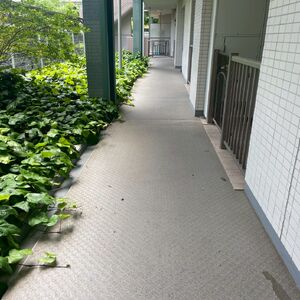 LINE_ALBUM_アルボの丘1番街_260529_1