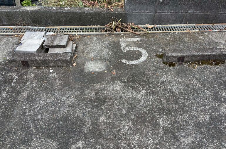 LINE_ALBUM_20260526 グリーンヴュー高尾巡回清掃_260610_2