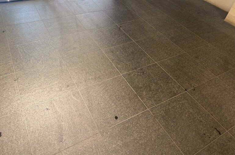 LINE_ALBUM_フォルティア文京千石_260715_3