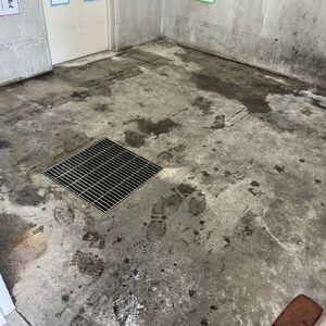 LINE_ALBUM_エルフォレストダストルーム_260717_1