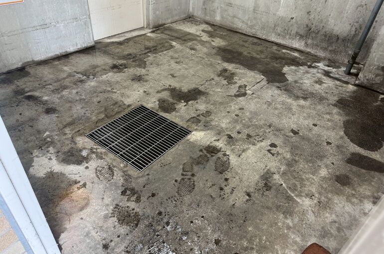 LINE_ALBUM_エルフォレストダストルーム_260717_1