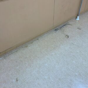 LINE_ALBUM_マリン調剤薬局_260721_1
