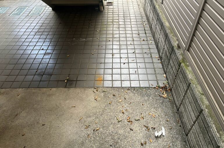 LINE_ALBUM_20261014田端シティクレスト_261014_3