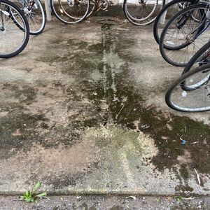 LINE_ALBUM_【定期清掃】アメニティ志木_261022_1